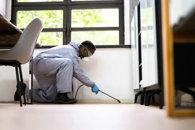 Técnico con mono protector y mascarilla fumigando junto al suelo de una oficina